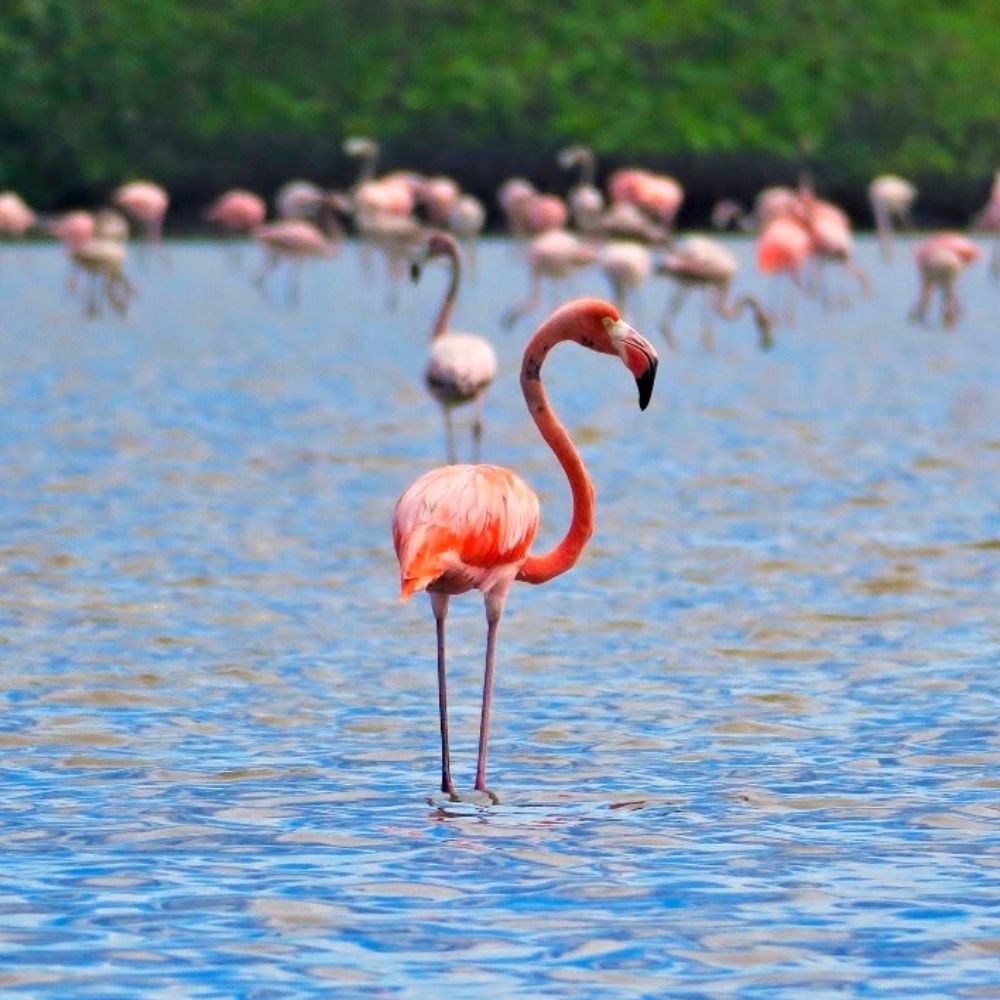 Instagram foto 3 van SUforYou in Suriname
